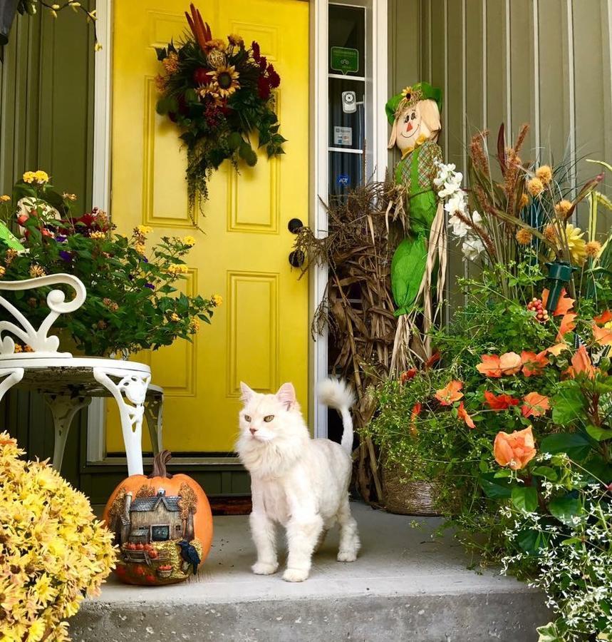 Yellow Door Bed And Breakfast Fort Erie Exterior foto