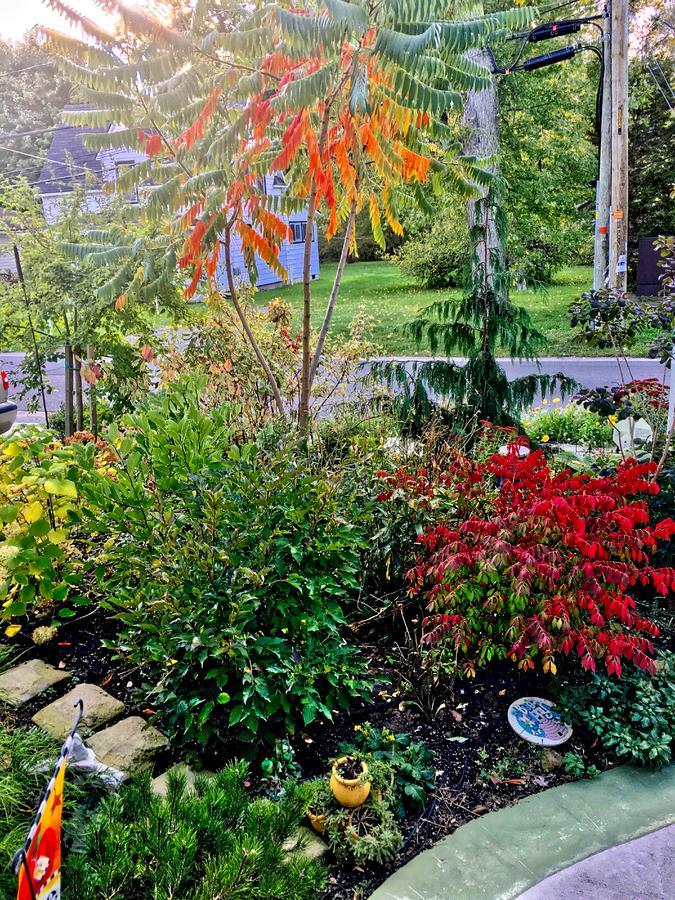 Yellow Door Bed And Breakfast Fort Erie Exterior foto